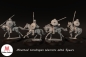 Preview: Mounted Carolingian Warriors with Spears